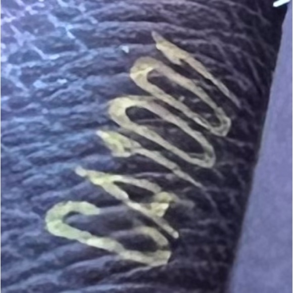 🤎Louis Vuitton Red/Brown Leather Trifold Button Type Key Case/Holder 🤎 - Picture 13 of 13